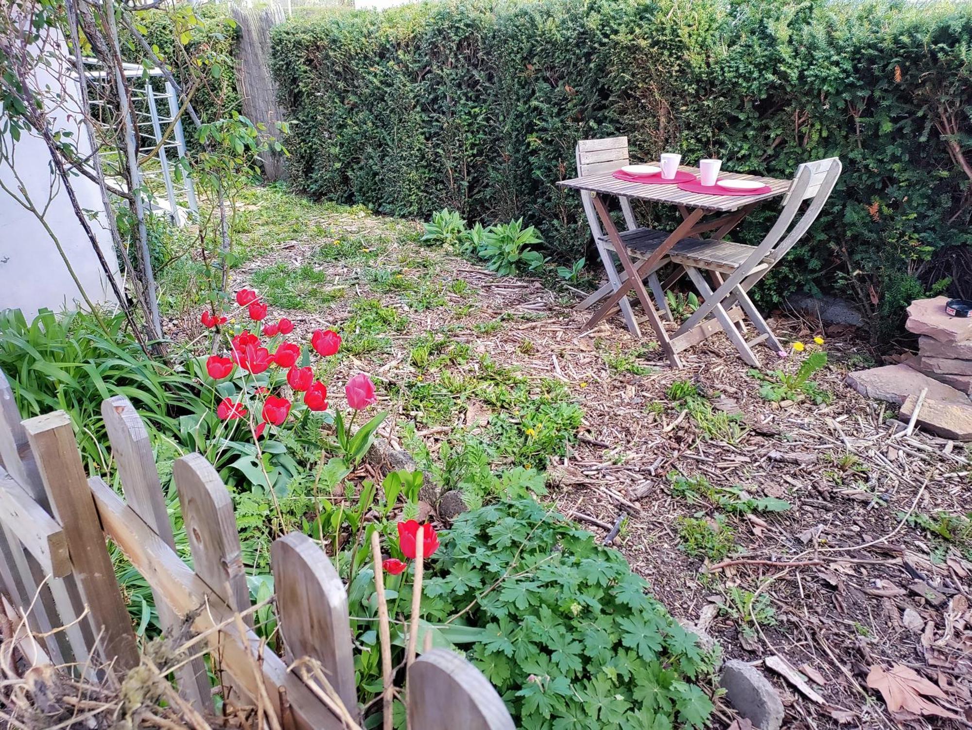 Apartamento Les Coquelicots, Calme, Jardin Colmar Exterior foto